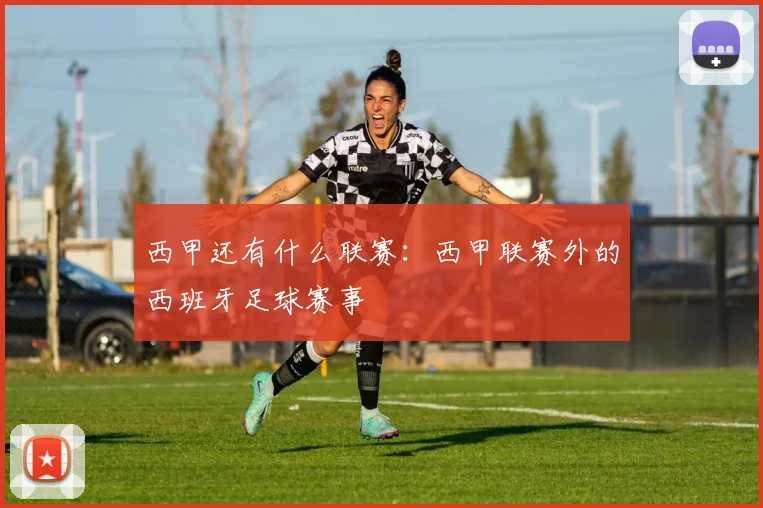 西甲还有什么联赛:西甲联赛外的西班牙足球赛事